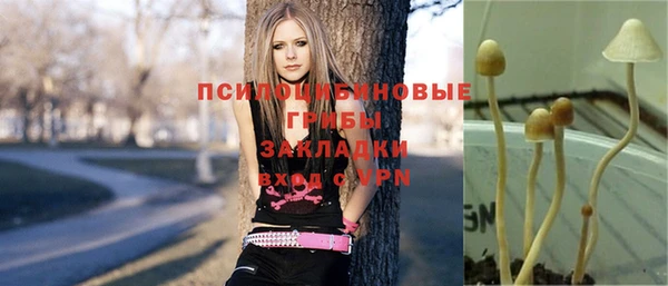 шишки Алексин