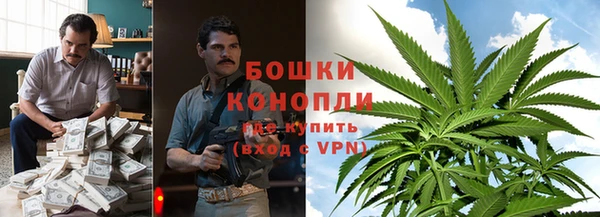 шишки Алексин