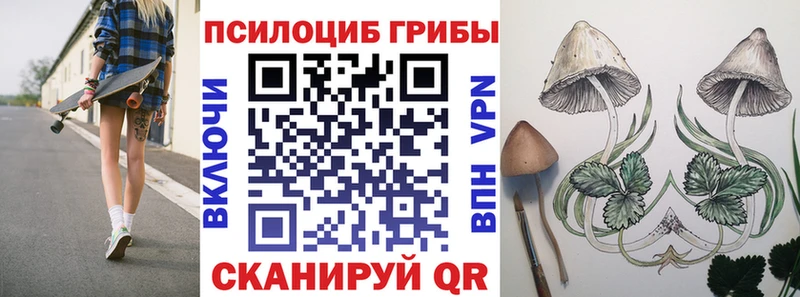 Галлюциногенные грибы GOLDEN TEACHER  Ленинск-Кузнецкий 