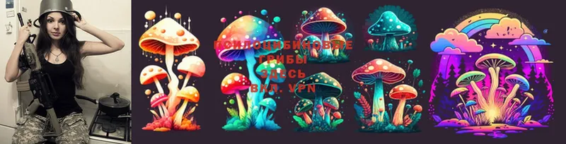 OMG онион  Ленинск-Кузнецкий  Галлюциногенные грибы Magic Shrooms  сколько стоит 