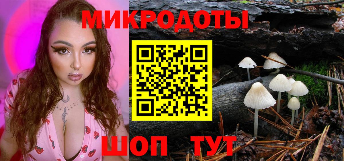 Псилоцибиновые грибы Magic Shrooms  Вход с VPN  Ленинск-Кузнецкий  Псилоцибиновые грибы Psilocybe 